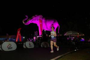 BIB: 
                            <button type="button" onclick="openModal(26543167)" class="btn btn-primary btn-sm float-right btn-popup" data-toggle="modal" data-target=".modal-high-quality">
                        <i class="fas fa-shopping-cart"></i> Add to Cart
                    </button>
                                            <button type="button" onclick="isThisMe(26543167, true)" class="btn btn-success btn-sm float-right btn-popup btn-isme hidden" data-toggle="tooltip" data-placement="bottom" title="นี่คือรูปของคุณใช่ไหม คลิกที่นี่เพื่อเอาเข้าอัลบั้ม">
                        <i class="fas fa-plus"></i> Add to album
                    </button>
                    <button type="button" onclick="isThisMe(26543167, false)" class="btn btn-warning btn-sm float-right btn-popup btn-isnotme hidden">
                        <i class="fas fa-ban"></i> Remove from album
                    </button>